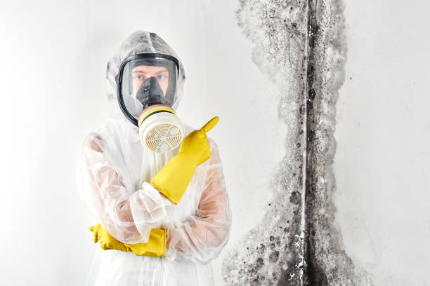 Mold Remediation for Vacation Homes in East Setauket, NY